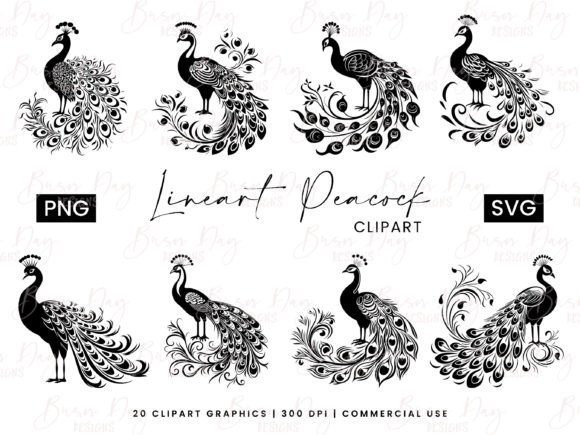 Download Lineart Peacock Clipart Bundle - Lineart Collection